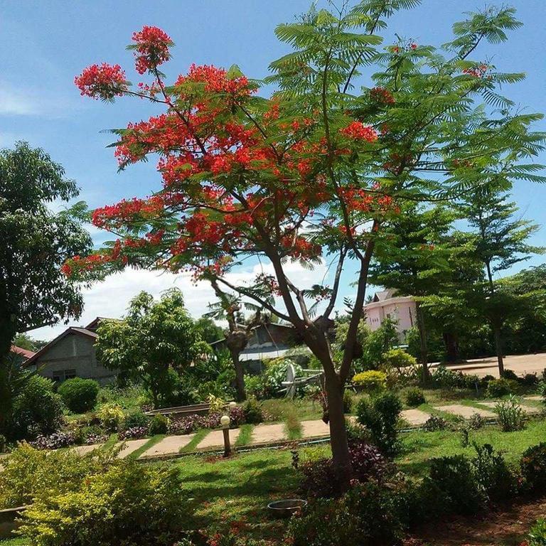 Xuanmai Garden Resort Pakse Exterior photo