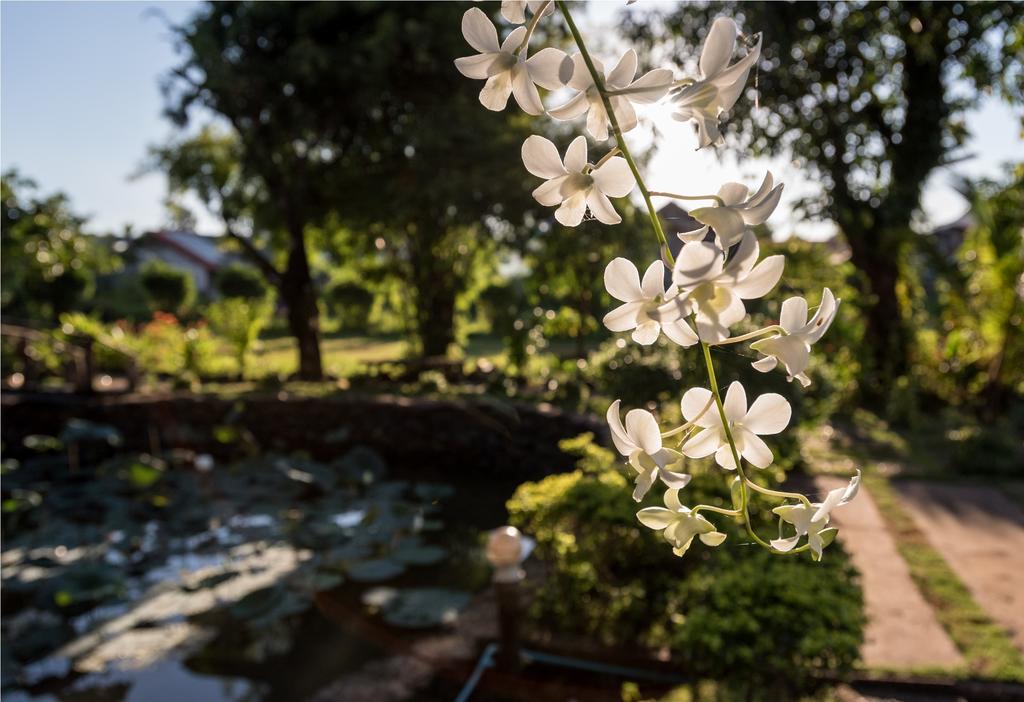 Xuanmai Garden Resort Pakse Exterior photo